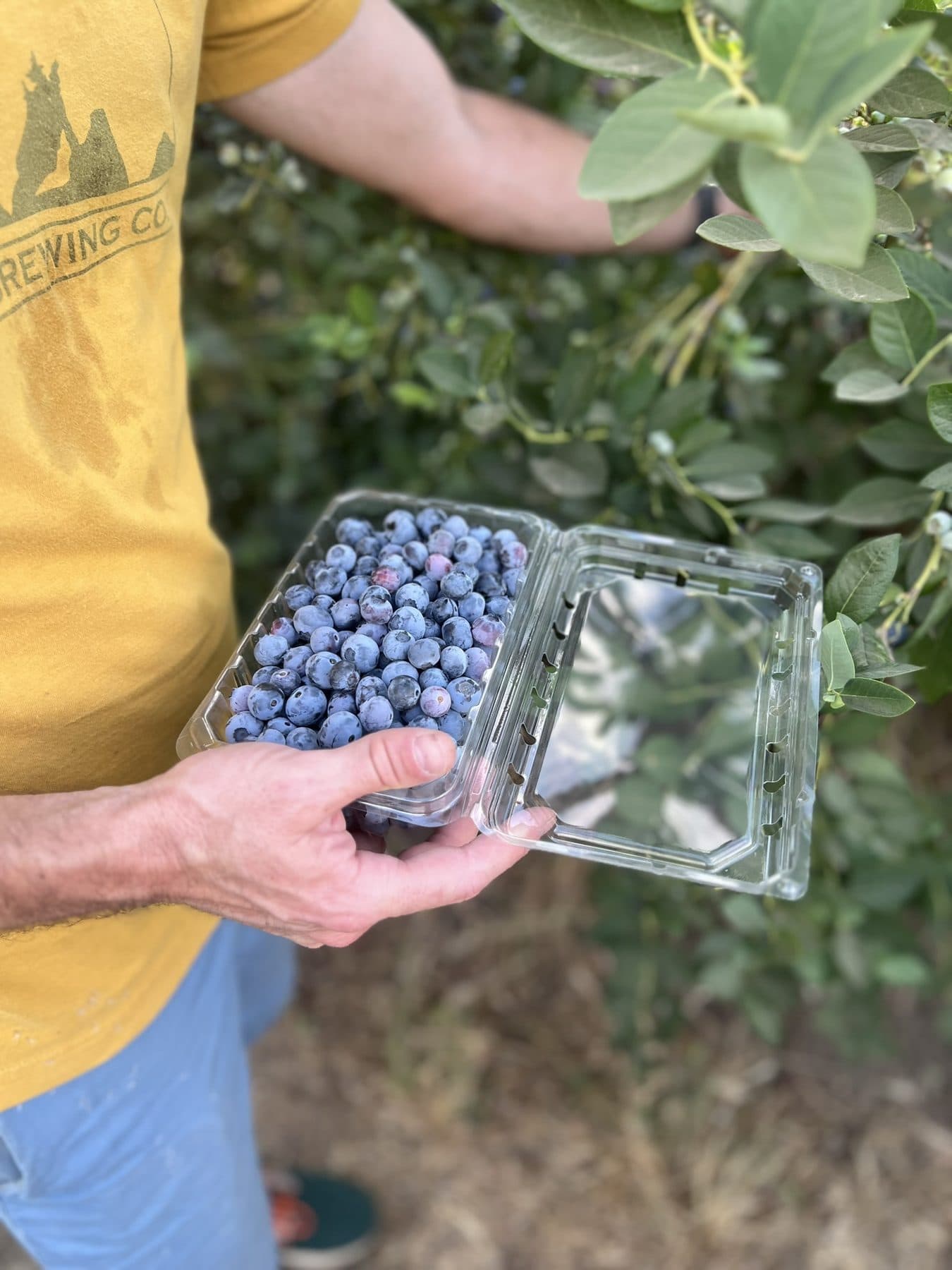 Content photography at a local farm